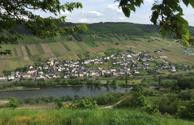 Malerisches Ferienhaus in Reil - Foto 37