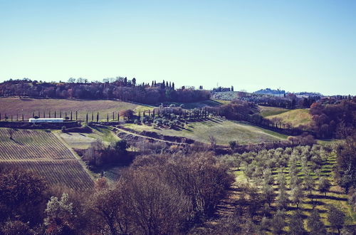 Photo 52 - Bio-Agriturismo La Ginestra