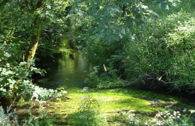 Holiday Home in Tavistock With Garden - Foto 24