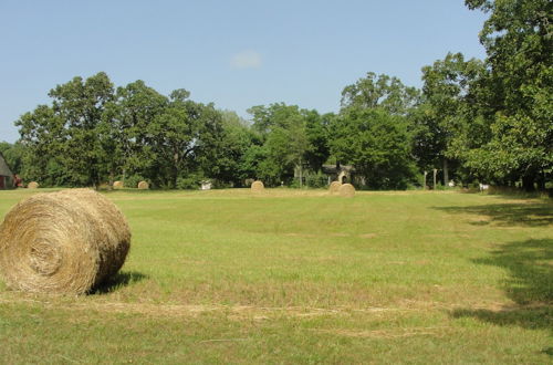 Photo 21 - Stone Meadow Resort