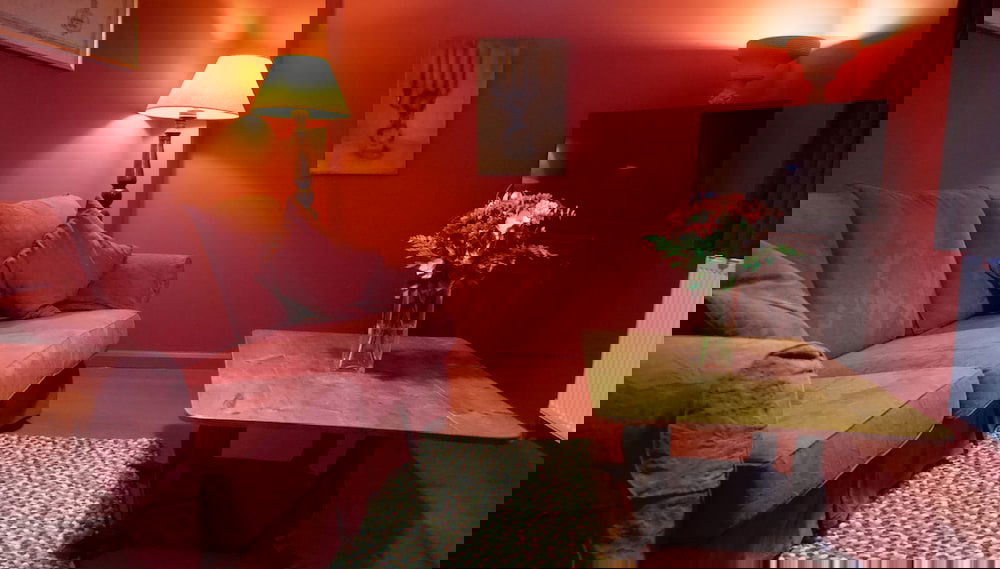 Image principale