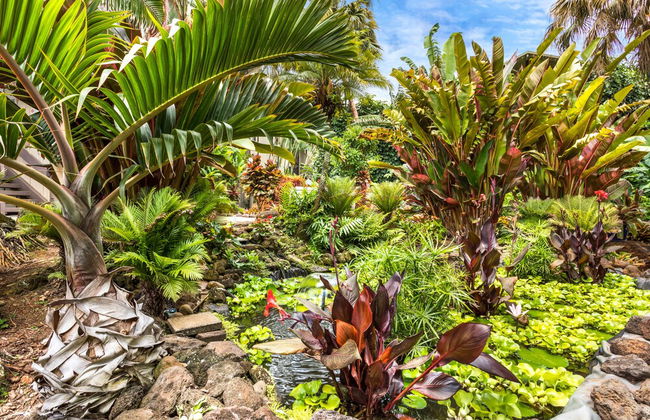 Lae Nani Kauai - Foto 39