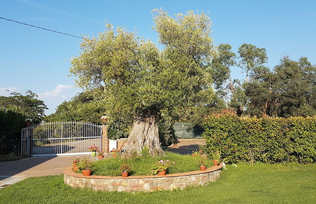 Casal Sant' Elena - Foto 24