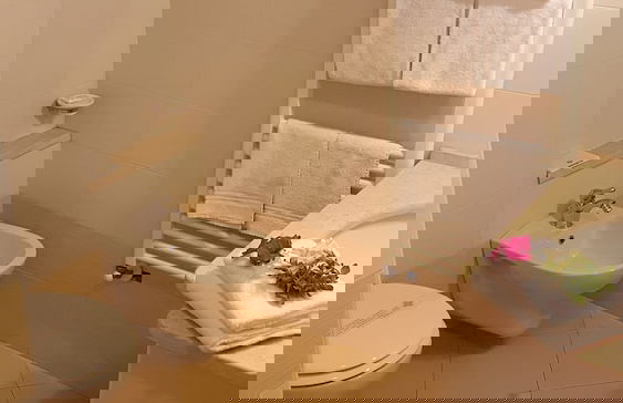 Casal Sant' Elena - Foto 14