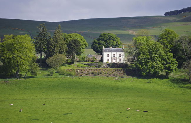 Beautiful 8-bed House in Angus - Foto 1