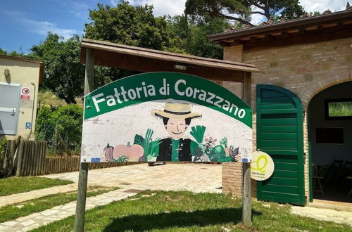 Photo 33 - Fattoria di Corazzano