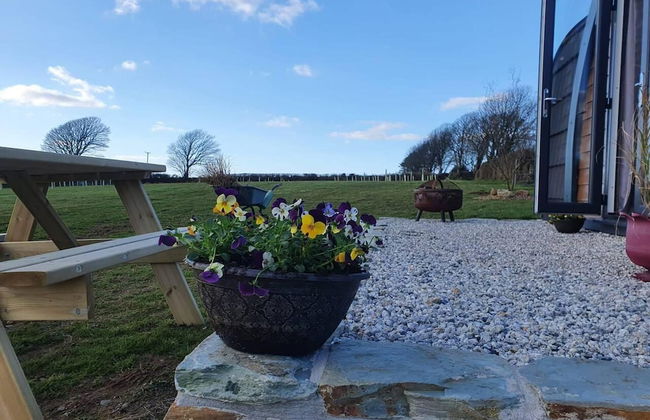 Rowan - Luxury Eco Pod at Trewithen Farm Glamping - Foto 12
