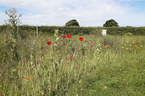 Photo 30 - Rowan - Luxury Eco Pod at Trewithen Farm Glamping