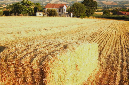 Photo 32 - Agriturismo Ponterosa