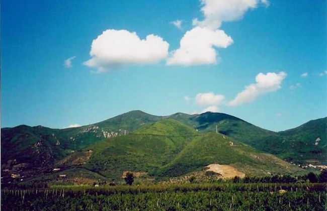 Agriturismo La Pisana - Foto 118