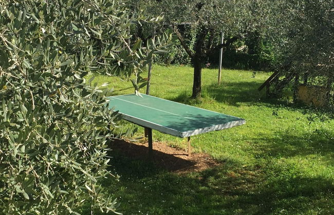 Mansion by Lake Garda With Pools & Olive Trees - Foto 34