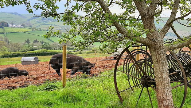 Terrenos do alojamento
