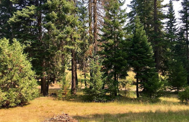 Whispering Pines Cabin Retreat - Foto 21