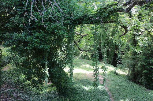 Photo 35 - Molinos de Fuenteheridos