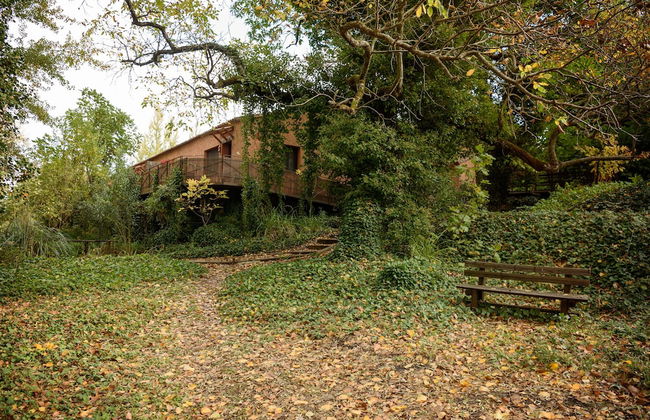 Molinos de Fuenteheridos - Foto 33