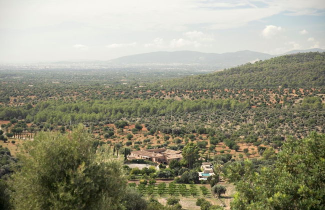 Finca Es Cabas - Foto 57