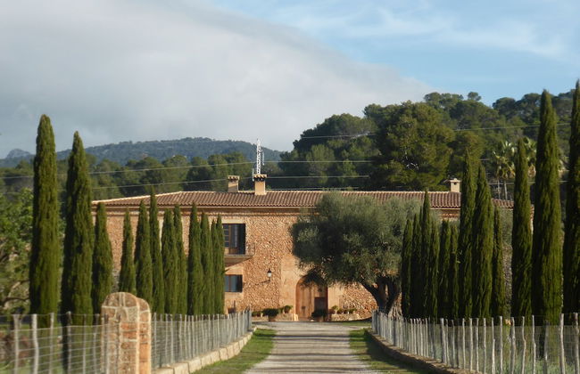 Finca Es Cabas - Foto 61