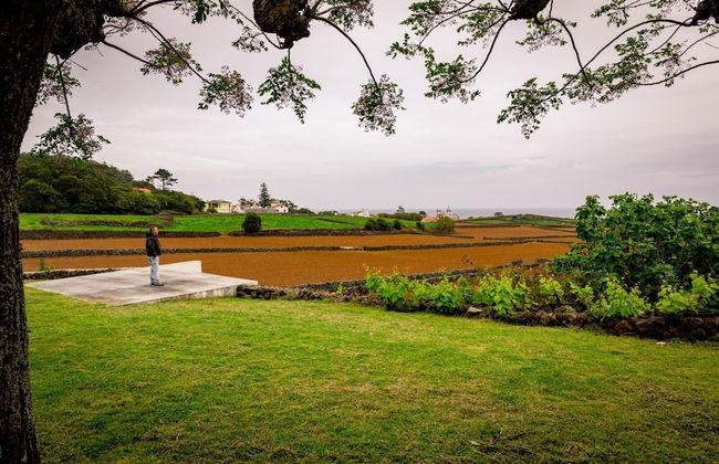 Casa dos Cal os in S o Mateus da Calheta - Foto 7