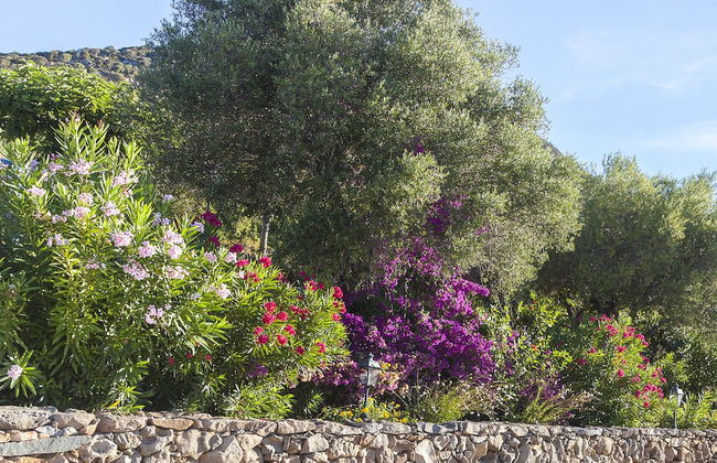 Résidence Arco Plage - Foto 37