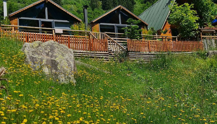 Foto 1 - Ayder Yayla Bungalov