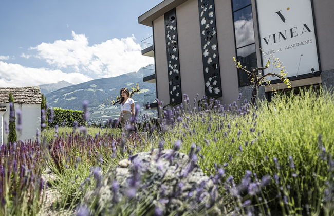 Vinea - Suites & Apartments - Foto 60