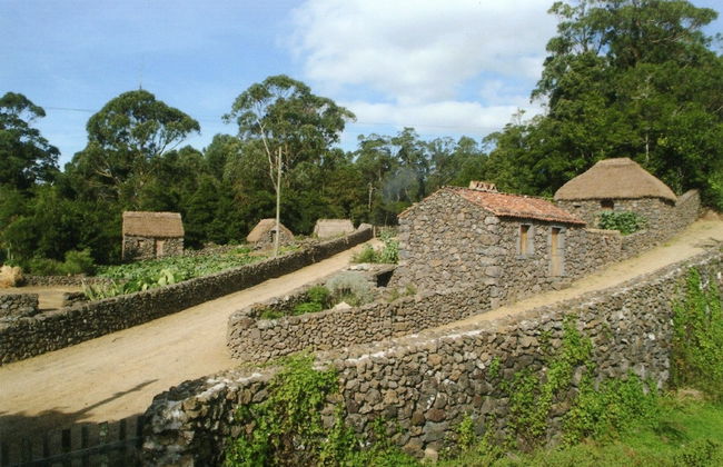 Quinta do Martelo - Foto 37