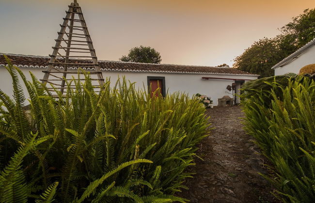 Quinta do Martelo - Foto 47