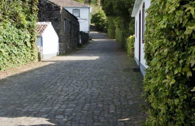 Quinta do Martelo - Foto 46