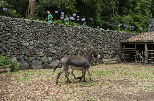 Photo 39 - Quinta do Martelo