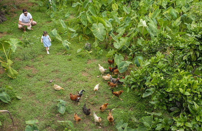 Quinta do Martelo - Foto 25