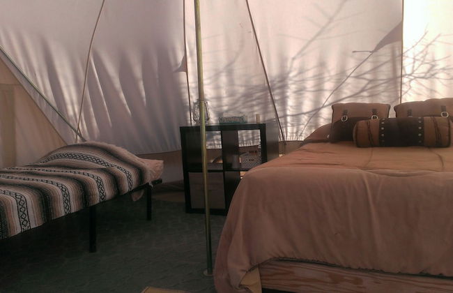 Grand Canyon Western Ranch - Foto 3