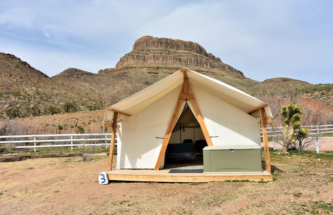 Grand Canyon Western Ranch - Foto 23
