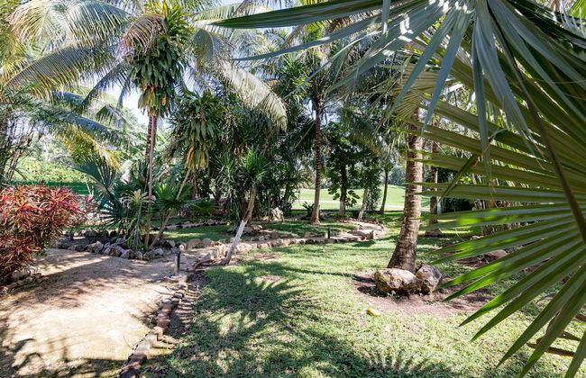Pakal by CocoBR - Foto 21