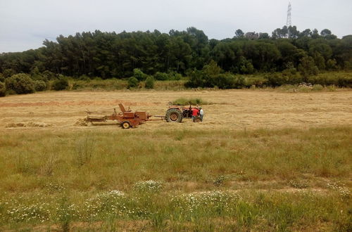 Photo 36 - Can Barnosell - Els Masos d'en Coll