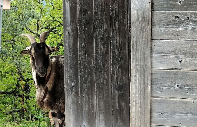 Tenuta Monte La Guardia - Cascate Naturali - Photo 112