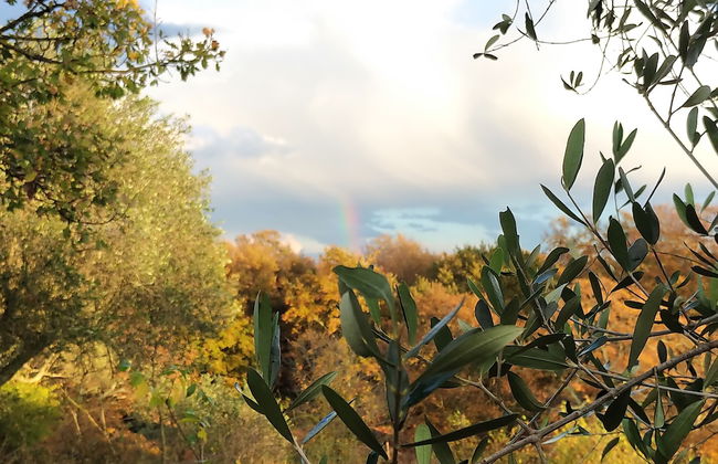 Tenuta Monte La Guardia - Cascate Naturali - Photo 73