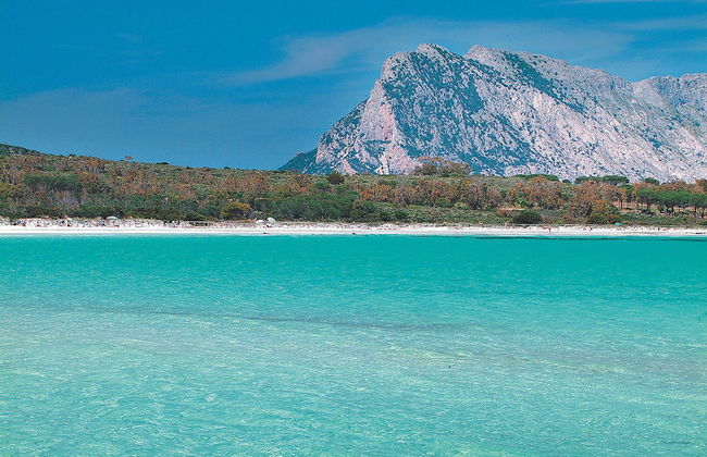 Appartamenti Citai a San Teodoro - Photo 14