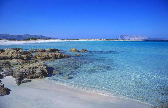 Appartamenti Citai a San Teodoro - Photo 25
