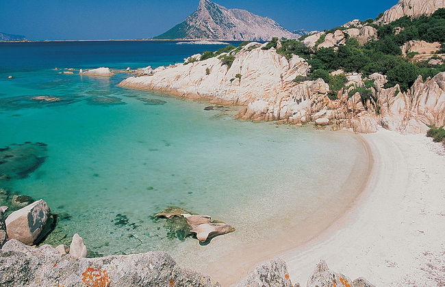 Appartamenti Citai a San Teodoro - Photo 16