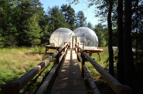 Foto 5 - Les Bulles de Sologne - Hébergements Insolites