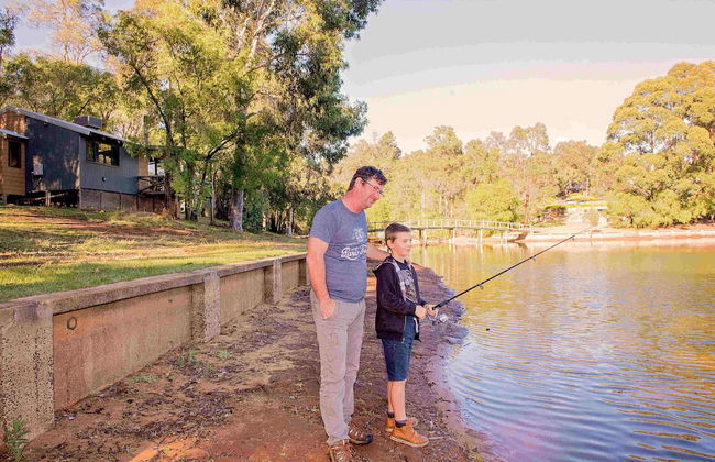 Evedon Park Bush Retreat - Photo 15