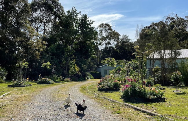 Tindoona Cottages - Foto 34