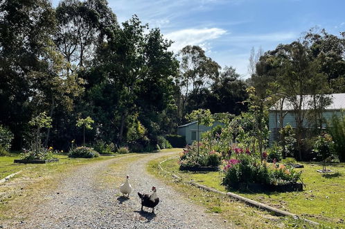 Photo 35 - Tindoona Cottages