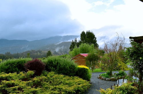 Photo 30 - Maydena Mountain Cabins