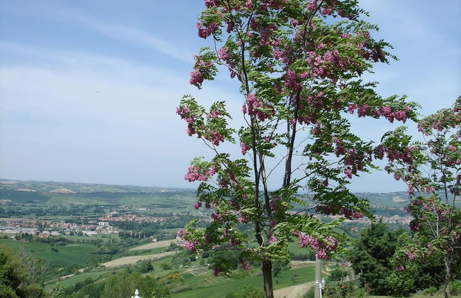 Panoramic Villa Italy Just few Minutes Drive From the Beach - Photo 41