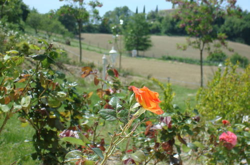 Photo 14 - Panoramic Villa Italy Just few Minutes Drive From the Beach