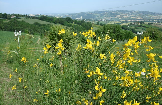 Panoramic Villa Italy Just few Minutes Drive From the Beach - Photo 42