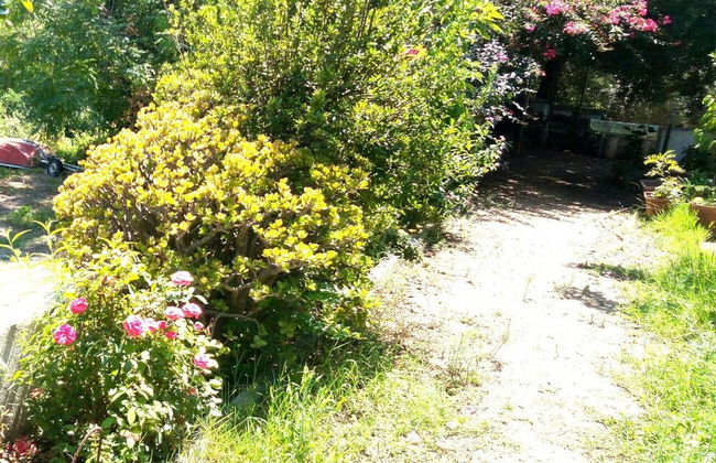 Always on Foot 3 min to the Beach Center With Double Terrace - Foto 39