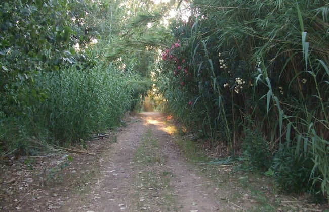 Always on Foot 3 min to the Beach Center With Double Terrace - Foto 41