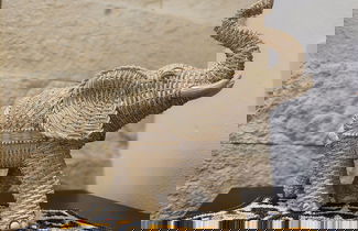 Photo 49 - 1st Luxury Warehouse